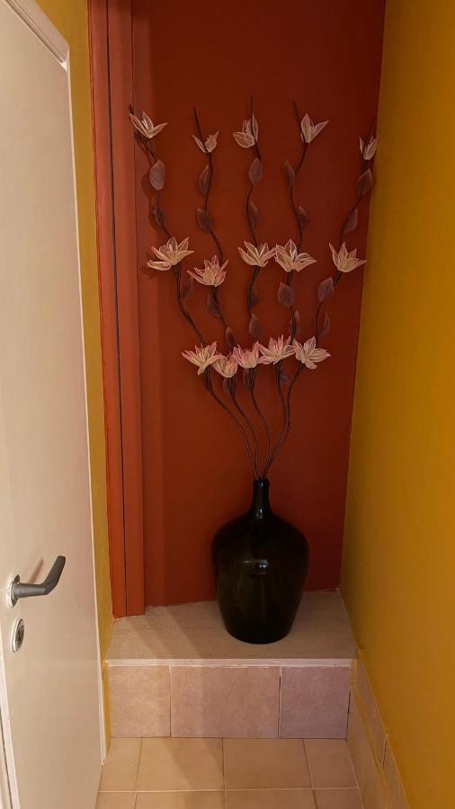 Casa Di Spili - Corfu Old Town Apartment Екстериор снимка
